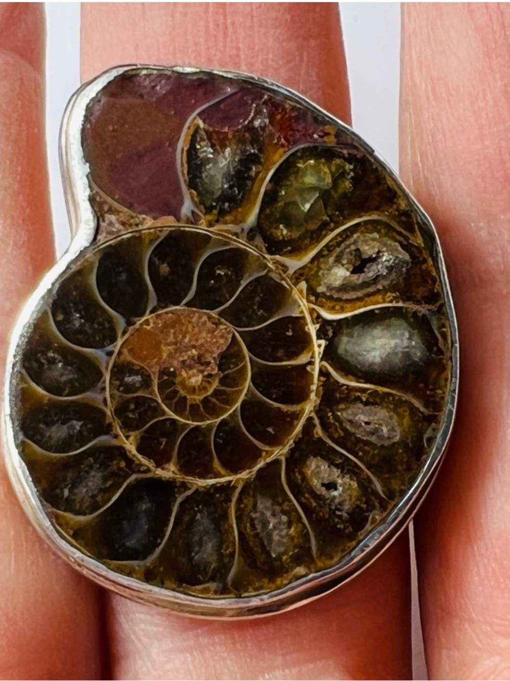 Sterling Silver Ammonite Fossil Ring in Olive Brown